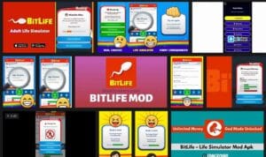Bitlife Mod APK (Unlimited Money and Bitizenship Unlocked) | December - 2022 1
